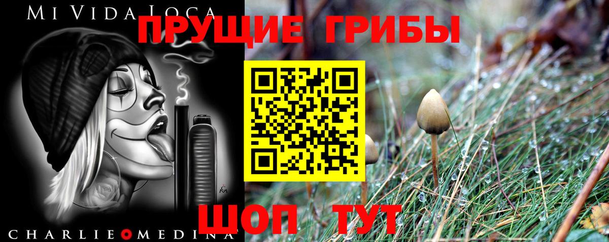 Псилоцибиновые грибы прущие грибы Шали