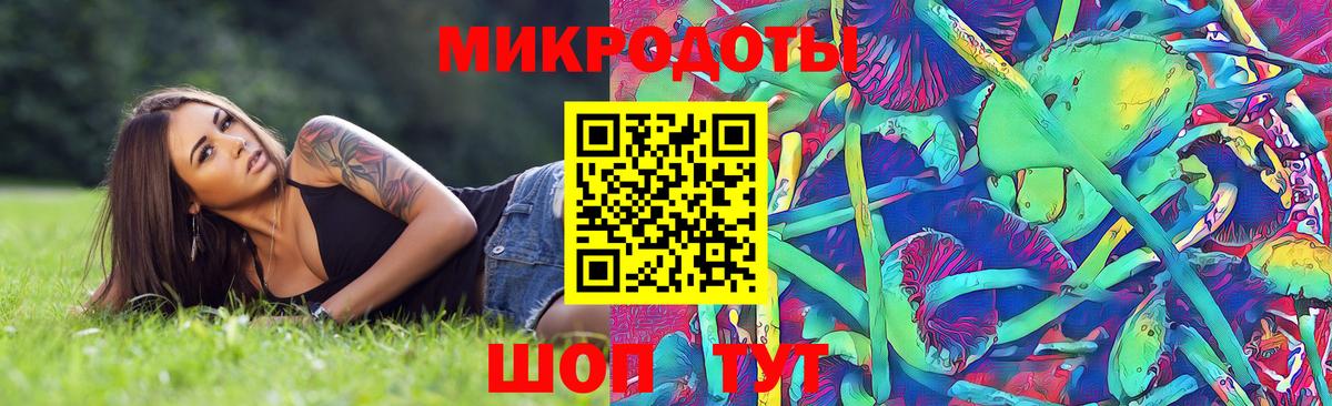 Шали  Галлюциногенные грибы Magic Shrooms  Вход с VPN 